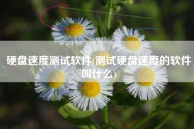 硬盘速度测试软件(测试硬盘速度的软件叫什么)