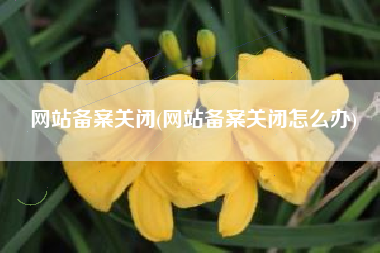 网站备案关闭(网站备案关闭怎么办)