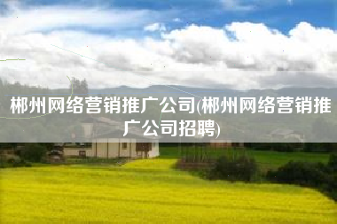 郴州网络营销推广公司(郴州网络营销推广公司招聘)