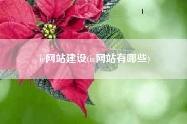 ic网站建设(ic网站有哪些)