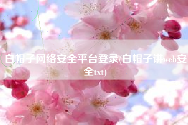 白帽子网络安全平台登录(白帽子讲web安全txt)