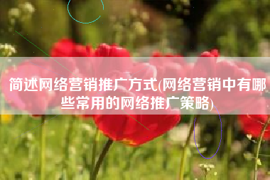 简述网络营销推广方式(网络营销中有哪些常用的网络推广策略)