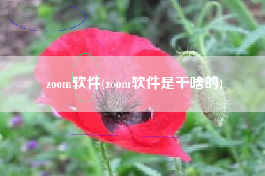 zoom软件(zoom软件是干啥的)