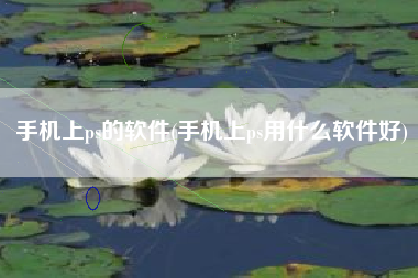手机上ps的软件(手机上ps用什么软件好)