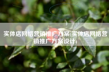 实体店网络营销推广方案(实体店网络营销推广方案设计)