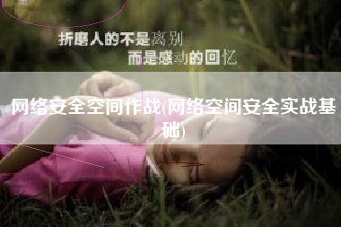 网络安全空间作战(网络空间安全实战基础)