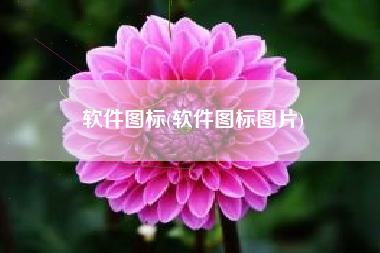 软件图标(软件图标图片)