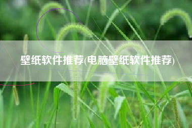 壁纸软件推荐(电脑壁纸软件推荐)