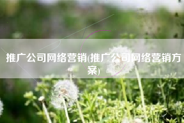推广公司网络营销(推广公司网络营销方案)
