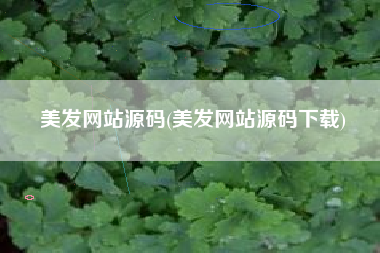 美发网站源码(美发网站源码下载)