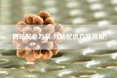 网站配色方案(网站配色方案模板)