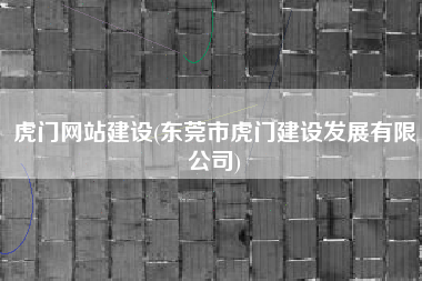 虎门网站建设(东莞市虎门建设发展有限公司)