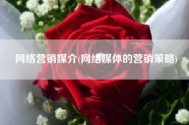 网络营销媒介(网络媒体的营销策略)