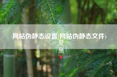 网站伪静态设置(网站伪静态文件)