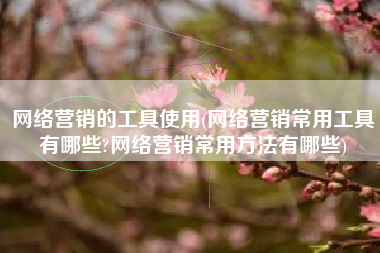网络营销的工具使用(网络营销常用工具有哪些?网络营销常用方法有哪些)