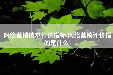 网络营销技术评价指标(网络营销评价指的是什么)