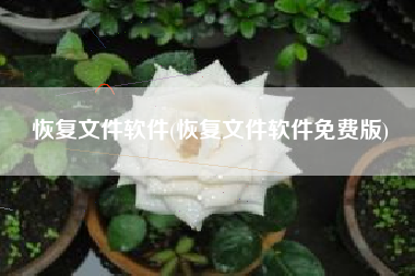 恢复文件软件(恢复文件软件免费版)