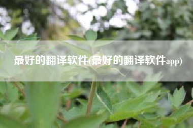 最好的翻译软件(最好的翻译软件app)