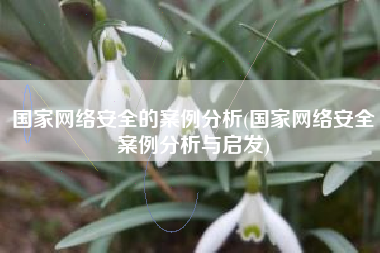 国家网络安全的案例分析(国家网络安全案例分析与启发)