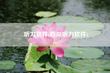 听力软件(四级听力软件)