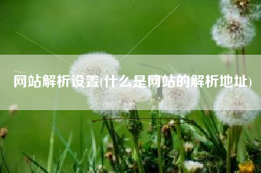 网站解析设置(什么是网站的解析地址)