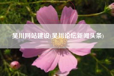 吴川网站建设(吴川论坛新闻头条)
