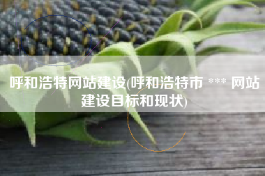 呼和浩特网站建设(呼和浩特市 *** 网站建设目标和现状)