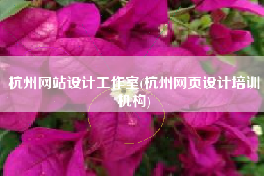 杭州网站设计工作室(杭州网页设计培训机构)
