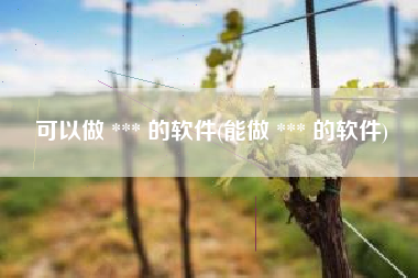 可以做 *** 的软件(能做 *** 的软件)