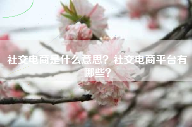 社交电商是什么意思？社交电商平台有哪些？