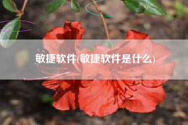 敏捷软件(敏捷软件是什么)