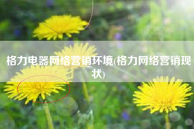 格力电器网络营销环境(格力网络营销现状)