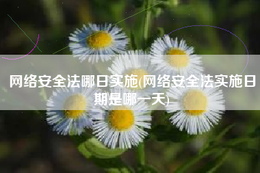网络安全法哪日实施(网络安全法实施日期是哪一天)