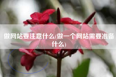 做网站要注意什么(做一个网站需要准备什么)