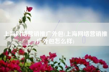 上海网络营销推广外包(上海网络营销推广外包怎么样)