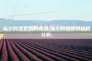 海尔网络营销的成功(海尔网络营销战略分析)
