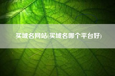 买域名网站(买域名哪个平台好)