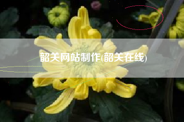 韶关网站制作(韶关在线)