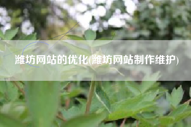 潍坊网站的优化(潍坊网站制作维护)