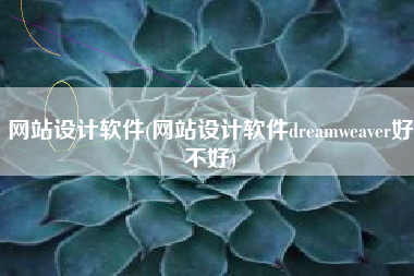 网站设计软件(网站设计软件dreamweaver好不好)