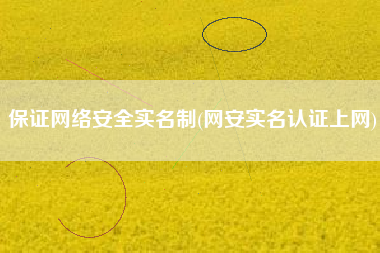 保证网络安全实名制(网安实名认证上网)