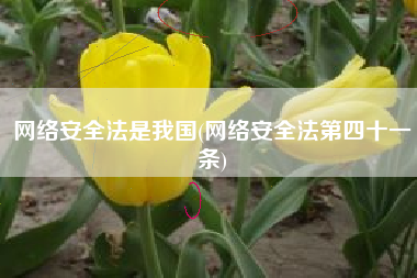 网络安全法是我国(网络安全法第四十一条)