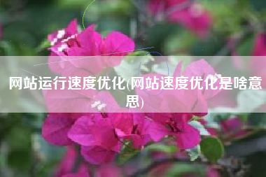 网站运行速度优化(网站速度优化是啥意思)