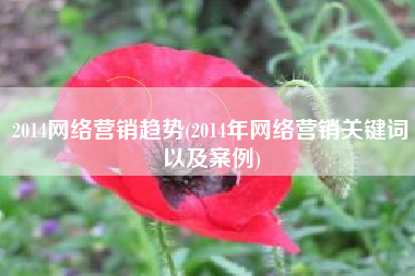 2014网络营销趋势(2014年网络营销关键词以及案例)
