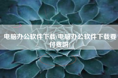 电脑办公软件下载(电脑办公软件下载要付费吗)