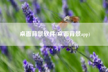 桌面背景软件(桌面背景app)