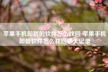 苹果手机卸载的软件怎么找回 苹果手机卸载软件怎么找回聊天记录