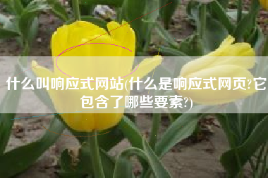 什么叫响应式网站(什么是响应式网页?它包含了哪些要素?)