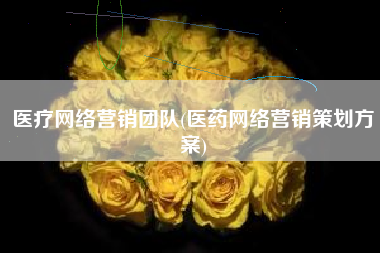 医疗网络营销团队(医药网络营销策划方案)