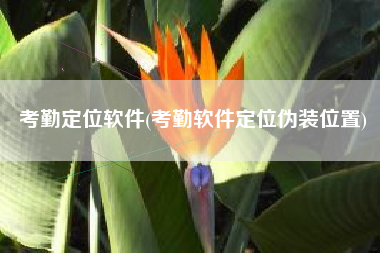 考勤定位软件(考勤软件定位伪装位置)